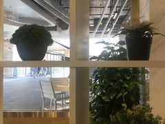 -813芭依珊 BAESAn(汇港购物中心店)