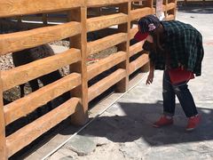 -鄂尔多斯野生动物园