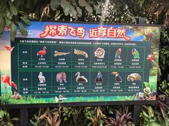 -广州长隆飞鸟乐园