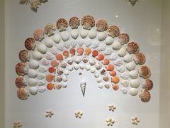 -青岛贝壳博物馆
