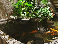 -汤泉良子·沐足·颂钵疗愈·SPA(珠江新城店)