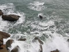-广东惠东海龟国家级自然保护区