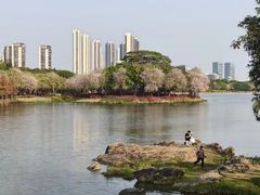 -顺峰山公园