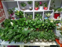 -物美超市(三里河店)
