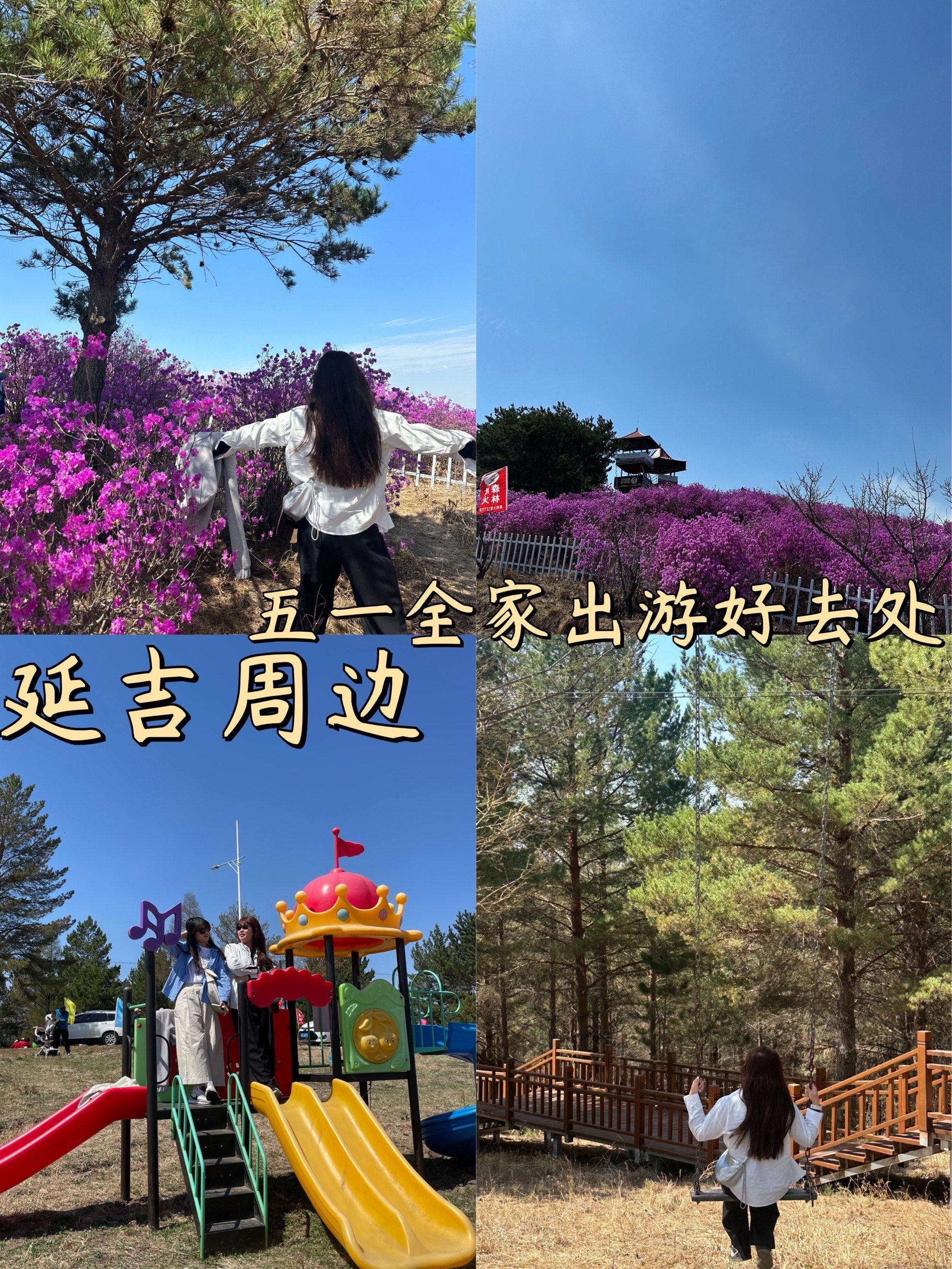 来延吉五一都能去哪玩?金达莱花开了?