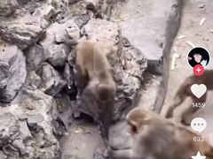 -昆明动物园