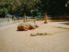 -昆明动物园