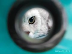 -美迦爱-牙专科·兔科·骨科诊疗中心(北苑店)