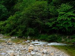 -黑河国家森林公园