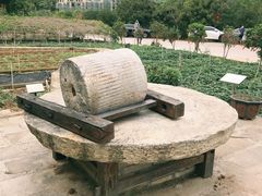 -清水湖度假村(罗浮山美食地标店)