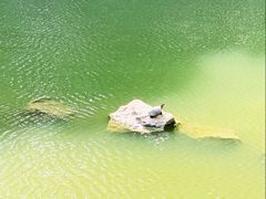 -湖北省美术院美术馆