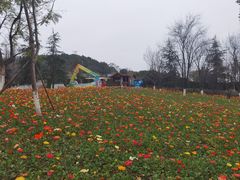 -铁山坪森林公园