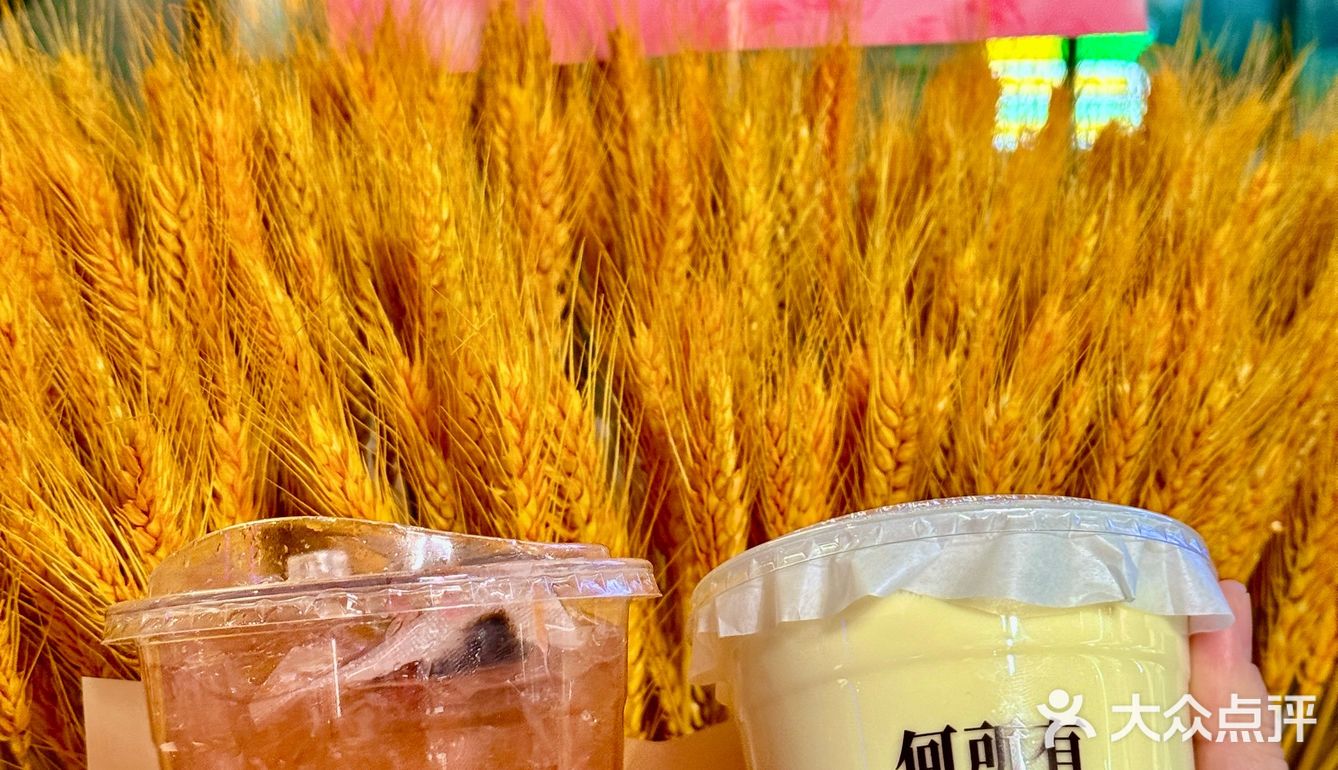 👀靠近「玉米说」，醇香扑鼻，让人沉醉！