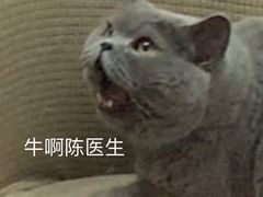 -佑安动物医院·全科·内窥镜中心(幸福巷店)