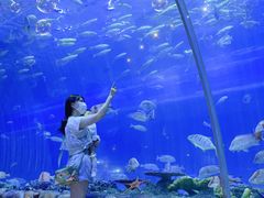 -华夏文旅海洋公园