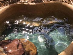 -三亚珠江南田温泉度假区