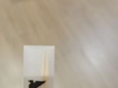 -浙江安吉JW万豪酒店·万豪中餐厅