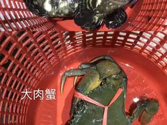 -真浪大家乐海鲜餐馆