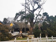 -司徒庙