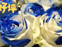 -Peet's Coffee皮爷咖啡(德基店)