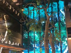 -桂满陇·海市蜃楼·黑金(国金店)