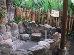 -映月潭温泉
