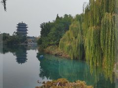 -张家油条