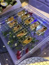 -花嫁丽舍婚礼殿堂(世博江景店)