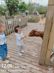 -三分地生态园·儿童乐园