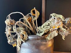 -长春银盐咖啡馆