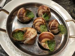 -金蜗牛