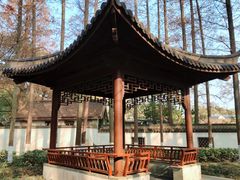 -瀛洲公园