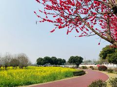 -蜀绣公园