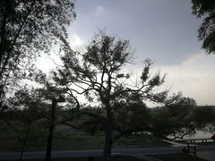 -良渚古城遗址公园