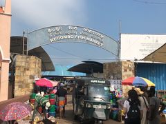 -尼甘布海鲜市场