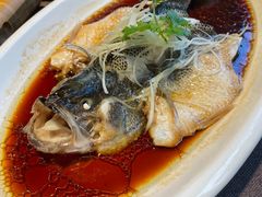 -樽宴酒楼·地道川菜·品质宴请