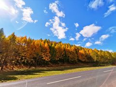 -塞罕坝国家级自然保护区