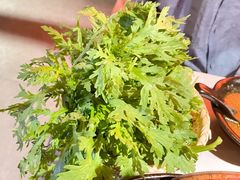 -芸山季·云南野生菌火锅(人民广场来福士店)