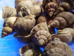 -广州花园酒店·凌璇阁旋转餐厅CAROUSEL360