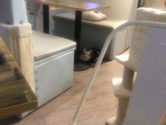 -小时光咖啡馆(开森度假森林店)