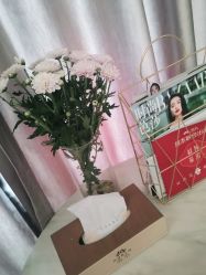 -奥本科技美肤·养生SPA