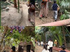 -呀路古热带植物园