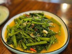 飞天空心菜-苏梅花园(群星城店)