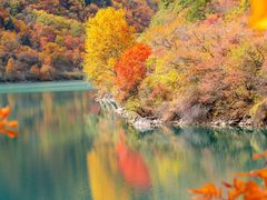-叠溪松坪沟景区