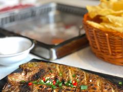 -九府羊·鲜羊火锅·烤串(新华路店)