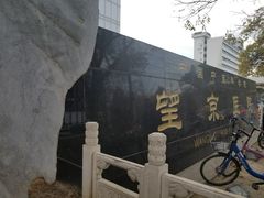 -中国中医科学院望京医院(院本部)