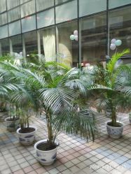 -沈阳市妇婴医院