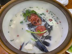 -全乐鱼馆·淳牌有机鱼直营店