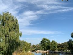 -鬼笑石后山停车场