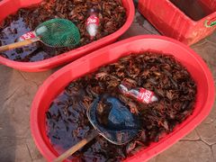 -老北京涮羊肉·龙虾.烧烤(江镇店)